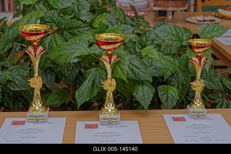 Som község sütiverseny kupái meg oklevelei-stock-foto