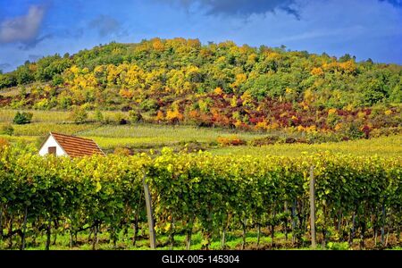 Tokaji borvidék-stock-foto
