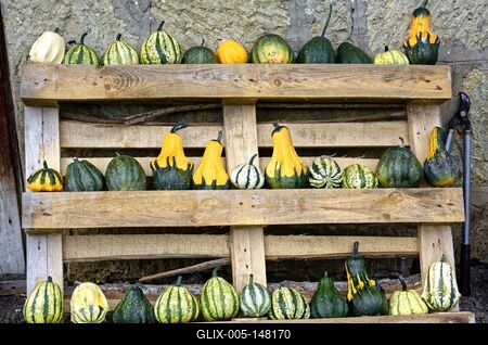 Különböző dísz tökök, Cucurbitaceae, sorakoznak egy raklapon, Panyolában-stock-foto