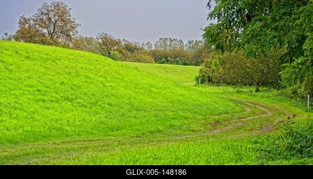 Mezei út a Szamos árterében a töltéssel, vidéki táj Panyolában-stock-foto