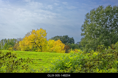 Őszi táj, sárga lombfákkal, Panyolában-stock-foto