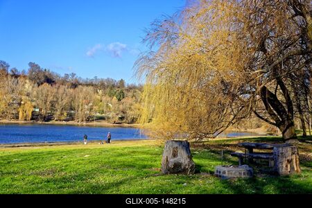 Horgászok a duna mellékfolyó partján, grillhelység a fűzfa alatt-stock-foto