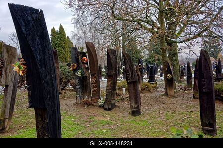 Szatmárcseke, kojafás temető-stock-foto