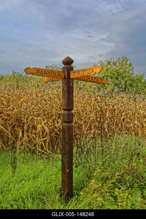 Fából készült út irány mutató kukoricás előtt, Panyolánál-stock-foto