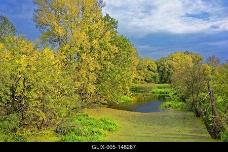 Öreg Túr folyó holt területén, Panyolában-stock-foto