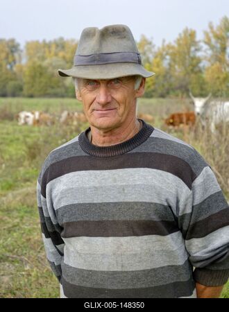 Igazi szatmári ember, férfi a legelőn, Panyolában-stock-foto