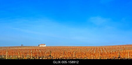 Grand Tokaj, a Tokaj-hegyaljai borvidék-stock-foto