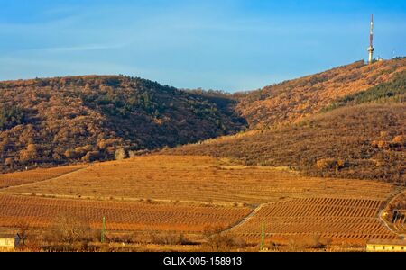Grand Tokaj, szőlődűlő a Zempléni-hegység déli lankáin-stock-foto