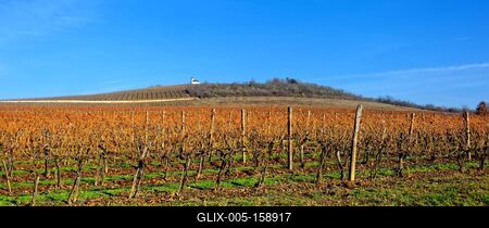 Grand Tokaj, Tokaji borvidék őszi fényben-stock-foto
