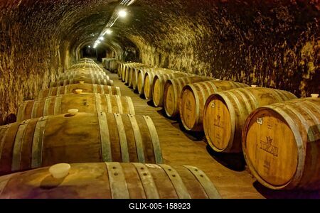 Grand Tokaj, fahordók a hatalmas Szegi pincében-stock-foto