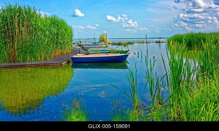 Színes evezőcsónakok a Balatongyöröki kishajó kikötőben-stock-foto
