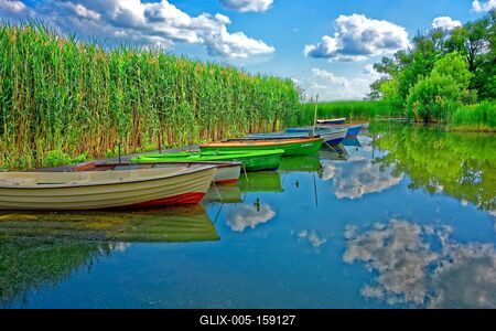 Színes evező csónakok a balatonon zöld nádas előtt Balatongyörökön-stock-foto
