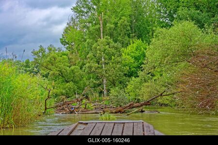 Szigetköz Natúrpark-stock-foto