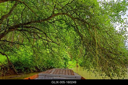 Szigetköz Natúrpark-stock-foto