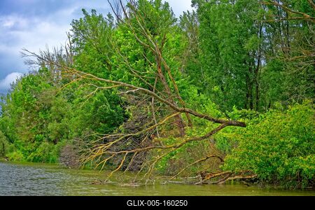 Szigetköz Natúrpark-stock-foto