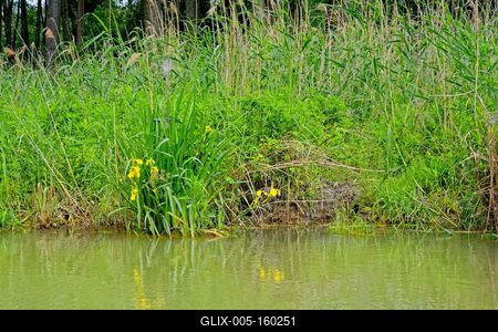 Szigetköz Natúrpark-stock-foto
