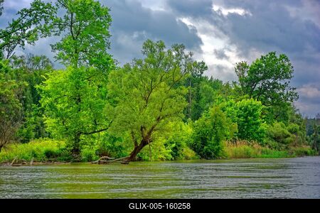 Szigetköz Natúrpark-stock-foto