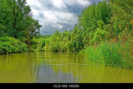 Szigetköz Natúrpark-stock-foto