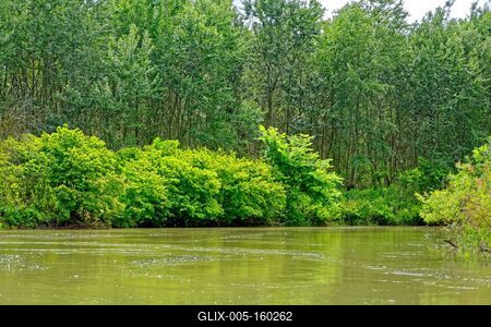 Szigetköz Natúrpark-stock-foto