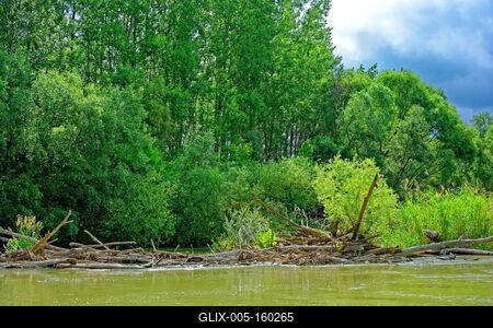 Szigetköz Natúrpark-stock-foto
