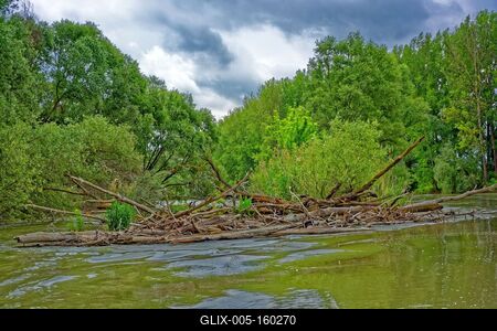 Szigetköz Natúrpark-stock-foto