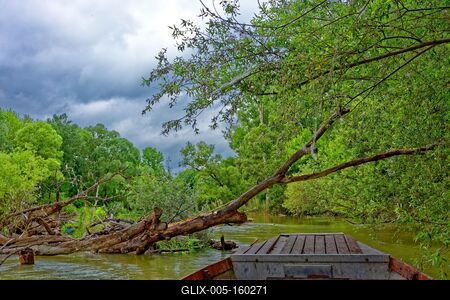 Szigetköz Natúrpark-stock-foto