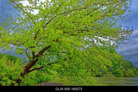 Szigetköz Natúrpark-stock-foto