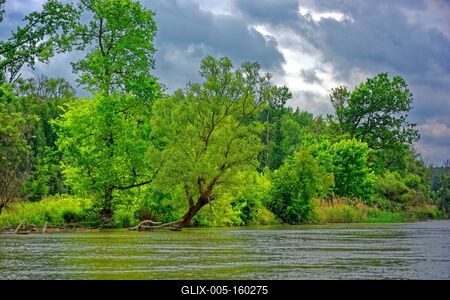 Szigetköz Natúrpark-stock-foto