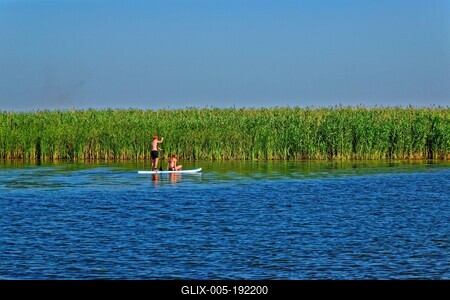 Tisza-tó Sarud, egy fiu és egy lány egy wakeboardon zöld nádas elõtt-stock-foto