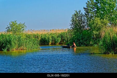 Tisza-tó Sarud, férfi egy motoros ladikban zöld nádas közt-stock-foto