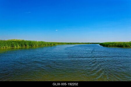 Tisza-tó, Sarudnál széles vízicsatorna zöld nádassal-stock-foto