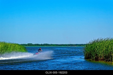 Tisza-tó Sarudnál, száguldó jet-ski vezetõ zöld nádas közt-stock-foto