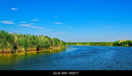 Tisza-tó, Sarudnál vízicsatorna zöld nádassal-stock-foto