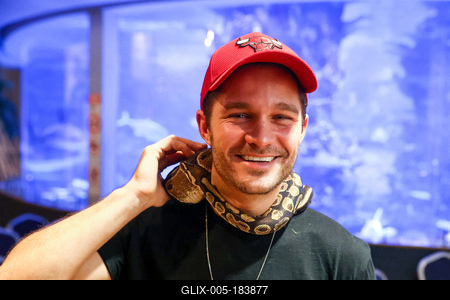 NFT képkollekció bemutatója-stock-foto