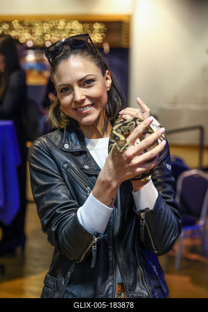 NFT képkollekció bemutatója-stock-foto