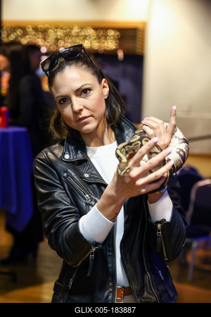 NFT képkollekció bemutatója-stock-foto