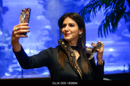 NFT képkollekció bemutatója-stock-foto