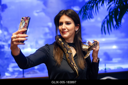 NFT képkollekció bemutatója-stock-foto