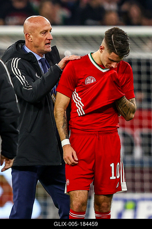 Hungary v Serbia - International Friendly-stock-foto