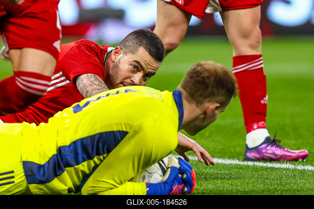 Hungary v Serbia - International Friendly-stock-foto