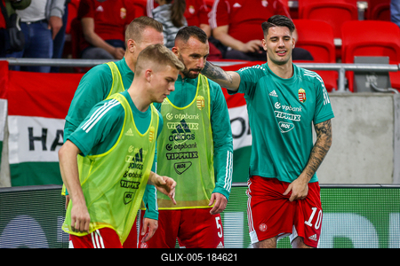 Hungary v Serbia - International Friendly-stock-foto
