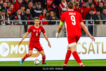 Hungary v Serbia - International Friendly-stock-foto