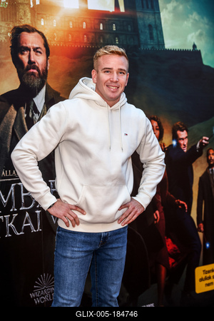 LEGENDÁS ÁLLATOK- DUMBLEDORE TITKAI- magyarországi gálapremier-stock-foto