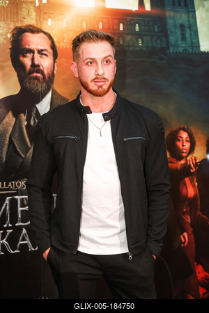 LEGENDÁS ÁLLATOK- DUMBLEDORE TITKAI- magyarországi gálapremier-stock-foto