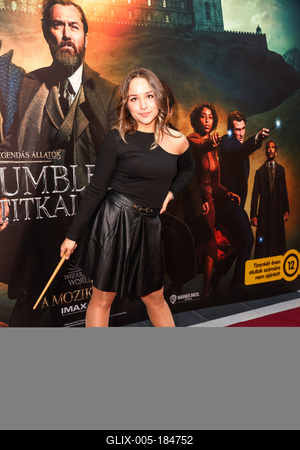 LEGENDÁS ÁLLATOK- DUMBLEDORE TITKAI- magyarországi gálapremier-stock-foto