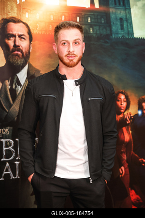 LEGENDÁS ÁLLATOK- DUMBLEDORE TITKAI- magyarországi gálapremier-stock-foto