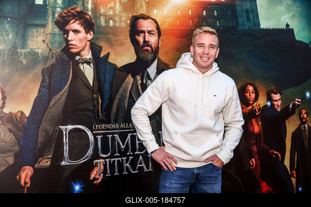LEGENDÁS ÁLLATOK- DUMBLEDORE TITKAI- magyarországi gálapremier-stock-foto