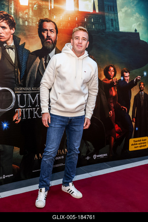 LEGENDÁS ÁLLATOK- DUMBLEDORE TITKAI- magyarországi gálapremier-stock-foto