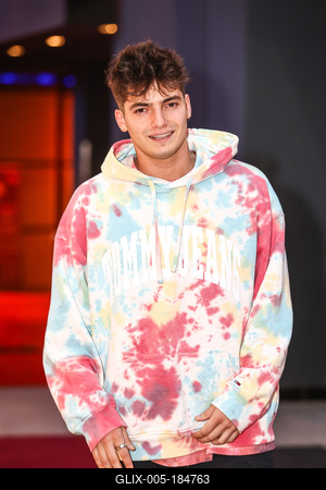 LEGENDÁS ÁLLATOK- DUMBLEDORE TITKAI- magyarországi gálapremier-stock-foto