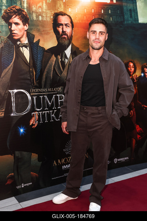 LEGENDÁS ÁLLATOK- DUMBLEDORE TITKAI- magyarországi gálapremier-stock-foto